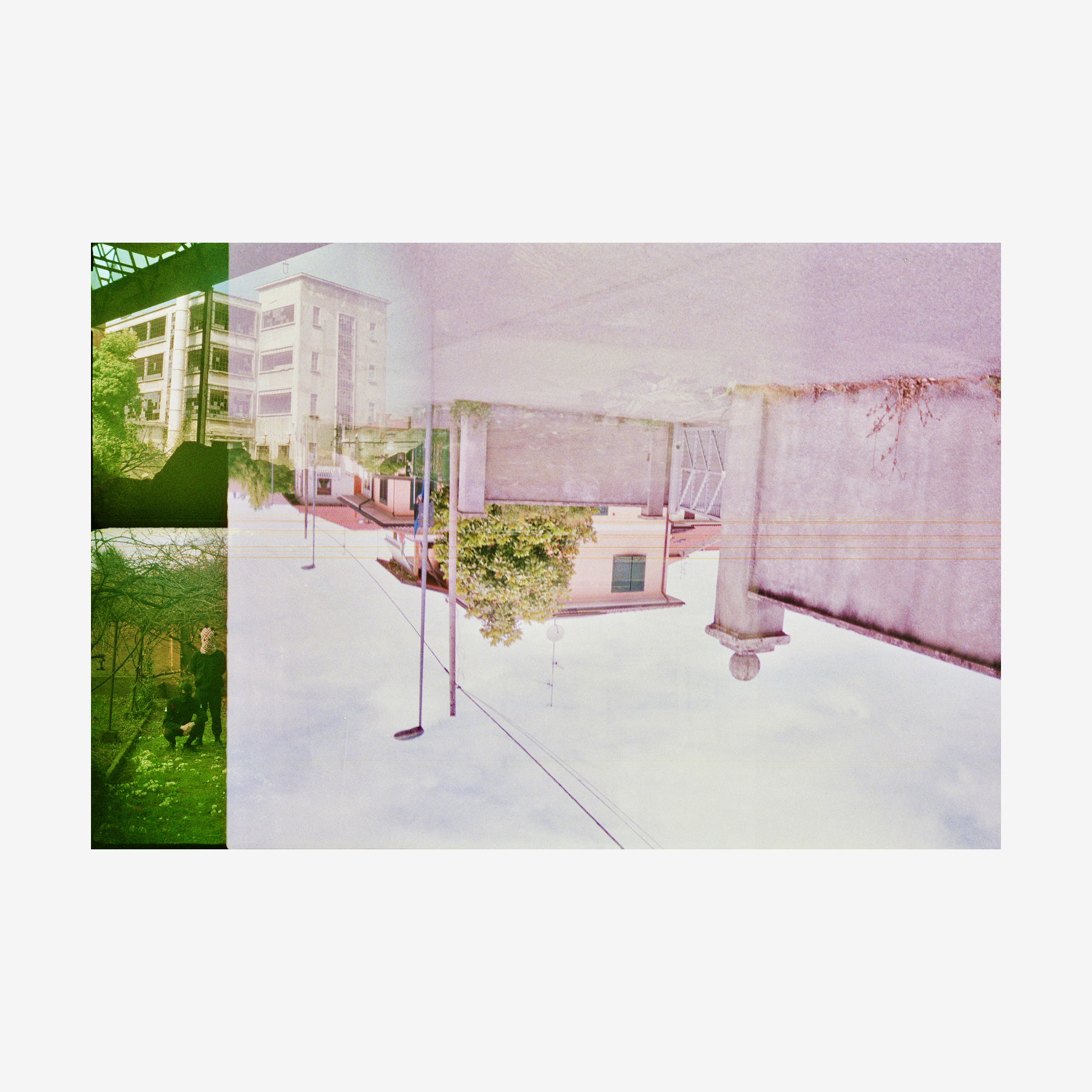 IN THE LAND OF GREEN AND PINK